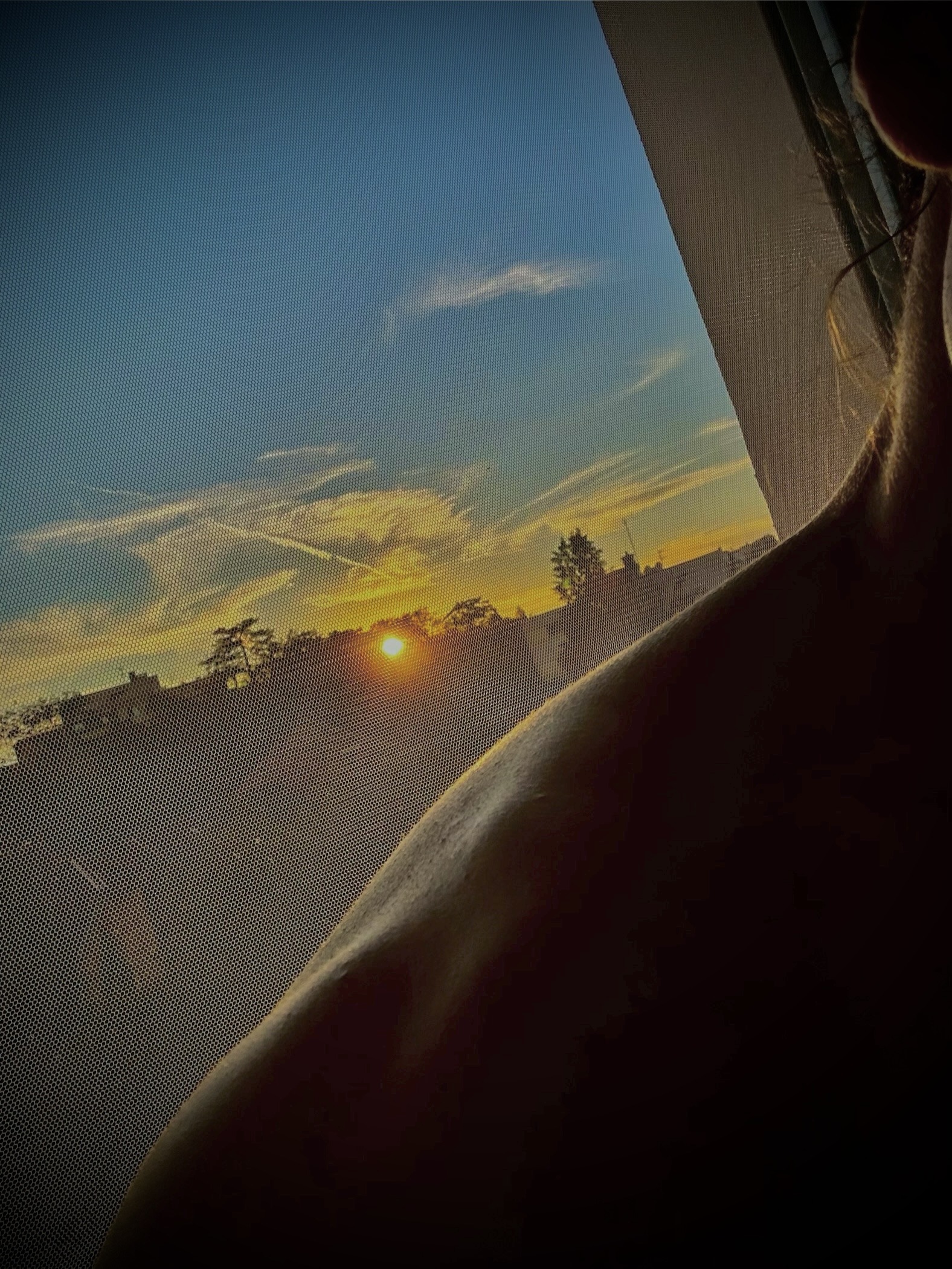 Profilo di Aurélien