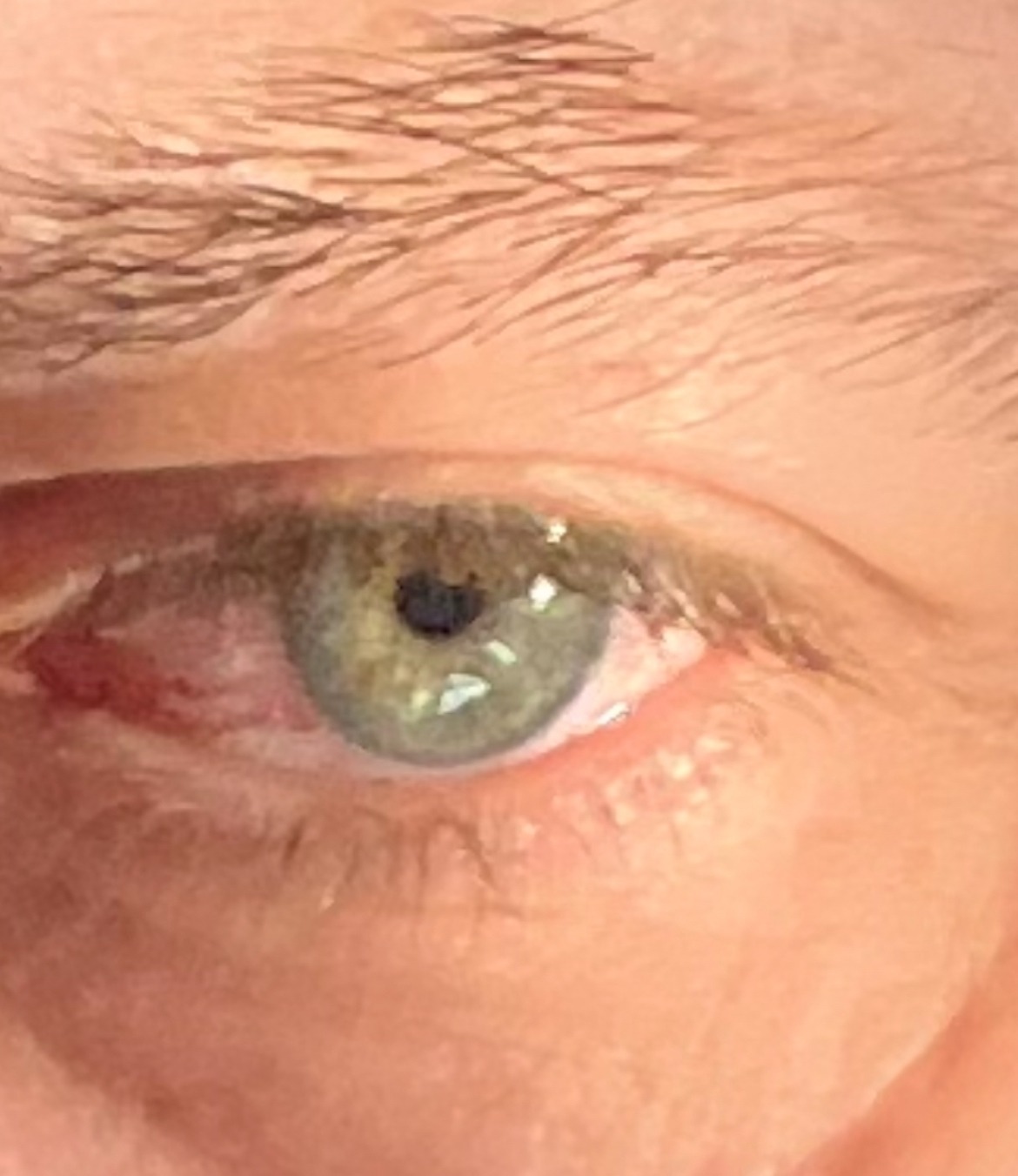 Profilo di Claude-olivier